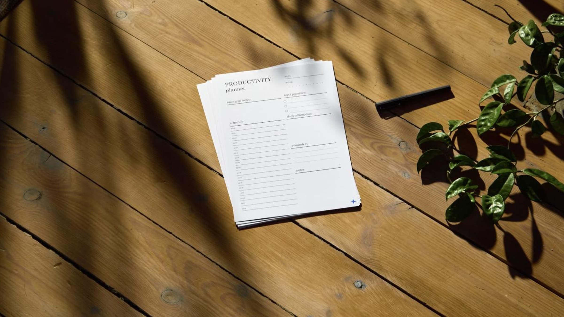 A planning document on a wooden desk in warm, directional afternoon light, with plant-leaf shadows crossing the page.